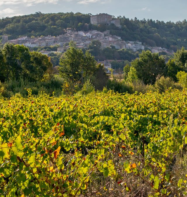 Viticulteur, du rêve à la réalité dans le Var