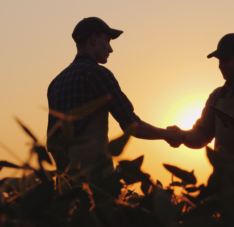 Soutenir en région Sud PACA des agriculteurs dans leur projet